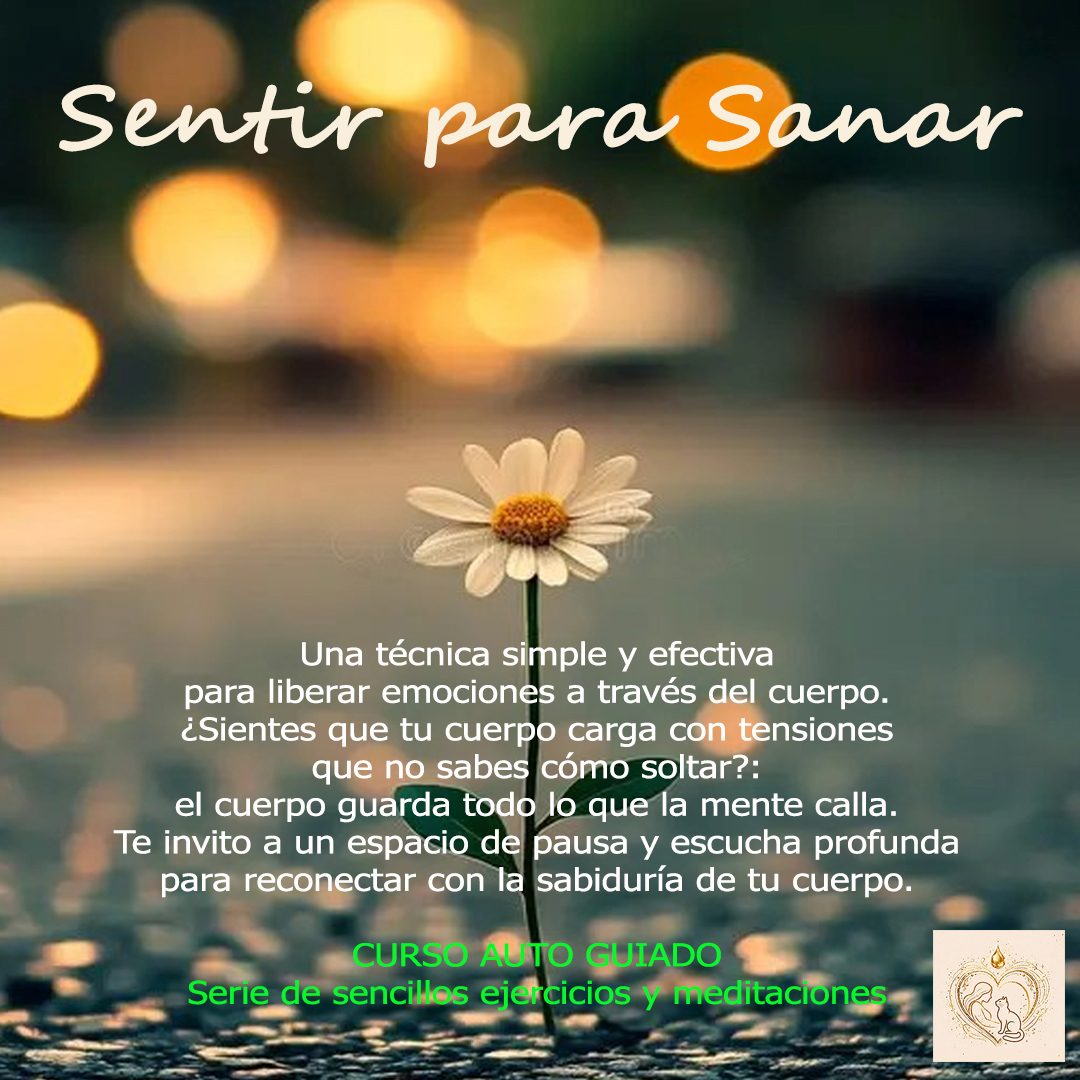 Sentir para Sanar, curso asincrónico post thumbnail image