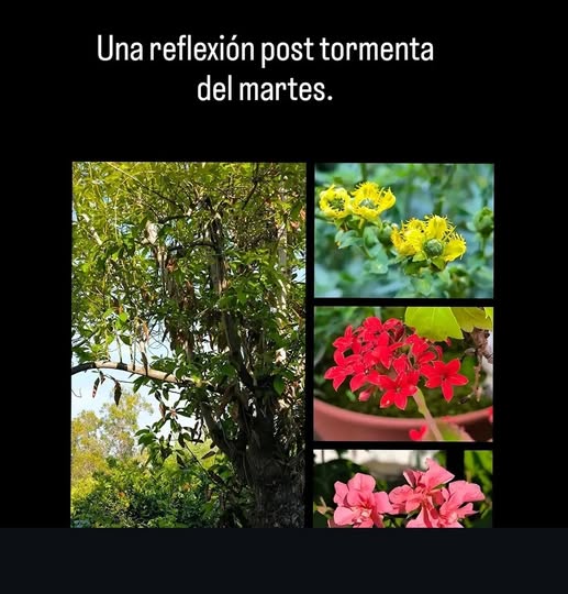 Una reflexión post tormenta post thumbnail image